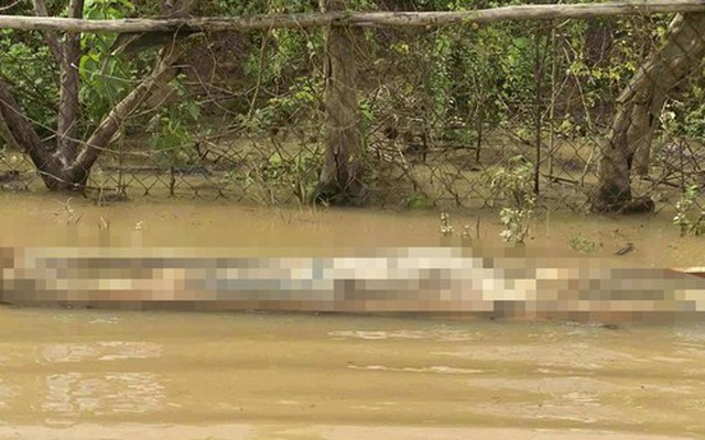 Người đàn ông mặc áo xanh không giấy tờ tùy thân chết nổi trên sông