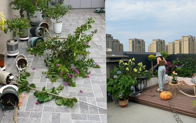 Penthouse – giấc mơ sang chảnh biến thành “địa ngục trên cao”: Tôi đã sống và hối hận!