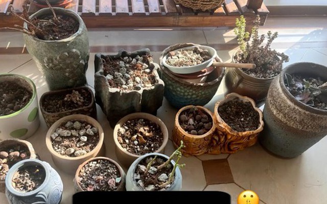 Tôi ước tất cả mọi người dứt khoát buông bỏ 7 thứ "chật nhà" này