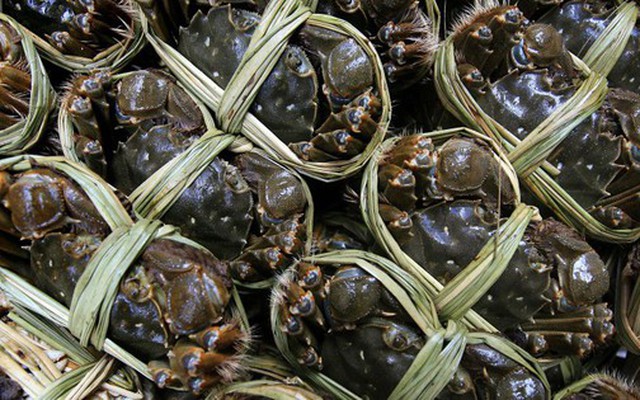 Cua ghẹ Việt đổi dòng chảy: Mỹ tiêu thụ chậm, một thị trường quan trọng khác lại bứt tốc