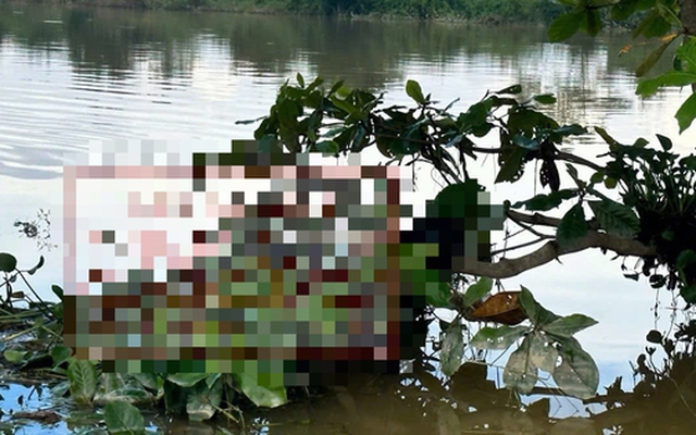 Phát hiện thi thể mắc trên cành cây giữa ruộng