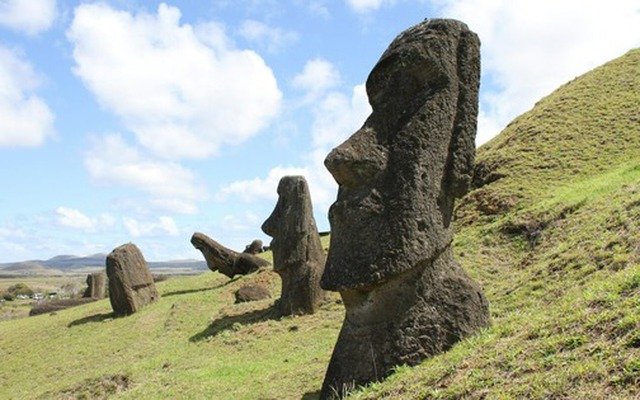 Loại thuốc trị giá hàng tỷ đô la được phát hiện trên Đảo Phục Sinh ẩn chứa một bí ẩn mà không phải ai cũng biết!