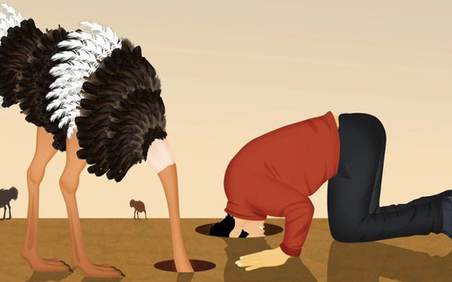 Con người càng lớn tuổi càng có xu hướng chọn sự ngu dốt có chủ đích