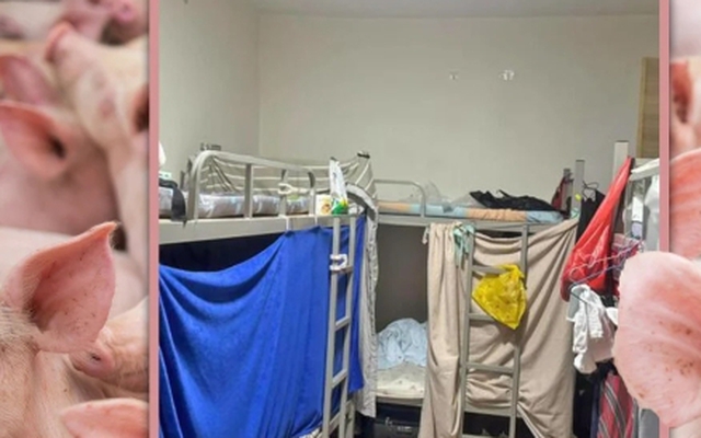 Cảnh sống chen chúc trong căn hộ 'như chuồng heo' ở Singapore gây vỡ mộng