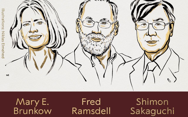 Giải Nobel Y sinh 2025 được trao cho ba nhà khoa học nhờ khám phá cơ chế 'phanh' hệ miễn dịch của con người