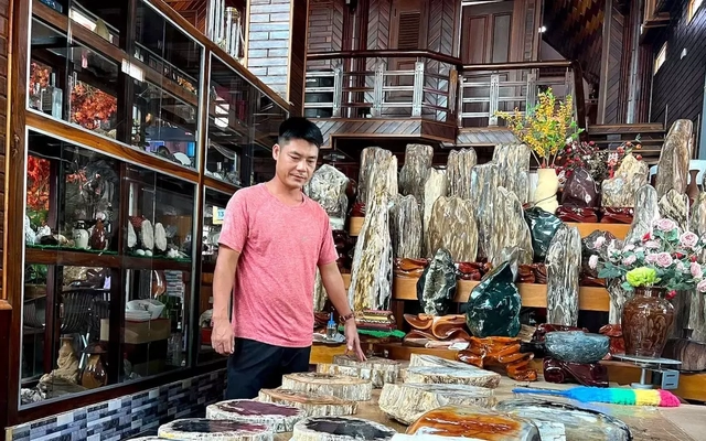 Thú chơi gỗ hóa đá tiền tỷ