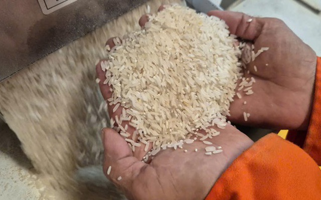 Những loại gạo nào có cơ hội ở thị trường nhập khẩu gạo tới 90%?