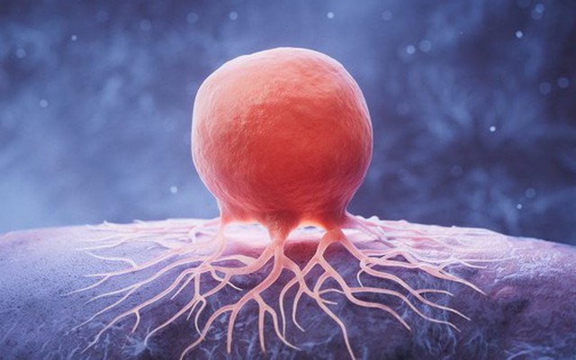 Tìm ra loại thuốc đầu tiên chống được "RNA bất tử" của ung thư