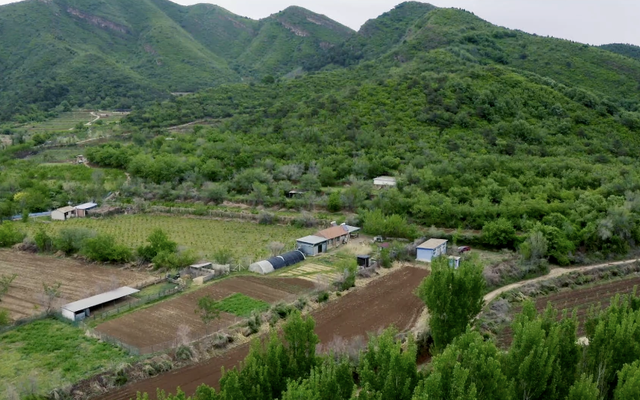 Cặp đôi U50 bỏ phố lên núi, thuê 20.000m² đất hoang để nghỉ hưu, sống “tự cung tự cấp”: “Vất vả chứ không lãng mạn như trên phim”