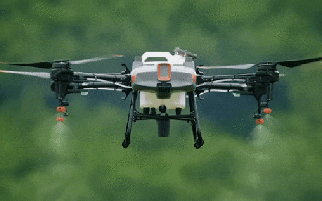 Một dự án 5 triệu USD của Liên hợp quốc có thể "thay đổi cuộc đời" của 21.000 người Việt Nam