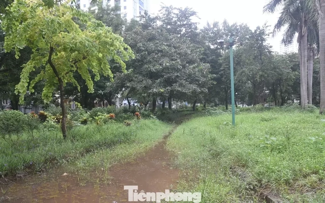 ‘Lá phổi xanh’ giữa trung tâm Thủ đô thành nơi hoang phế