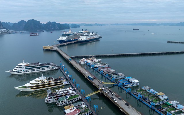 Khung cảnh ở Hạ Long ngay lúc này khiến nhiều người tò mò, nhận xét: "Ở đây đang thực sự có gì?"