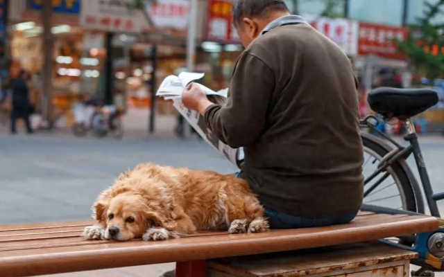 63 tuổi, nghỉ hưu, tôi làm 4 việc "tuyệt tình" rồi mới thấy đúng đắn: sống hạnh phúc mỗi ngày