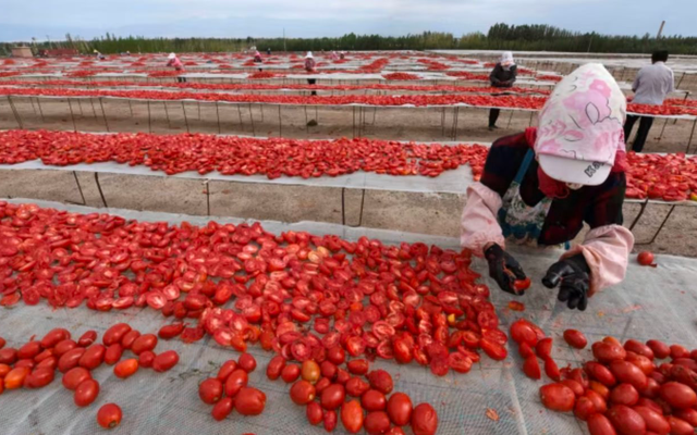 Khách quen bất ngờ 'quay xe', Trung Quốc lập tức rơi vào cảnh ế hàng nghiêm trọng: 700 nghìn tấn hàng chất đống không ai mua