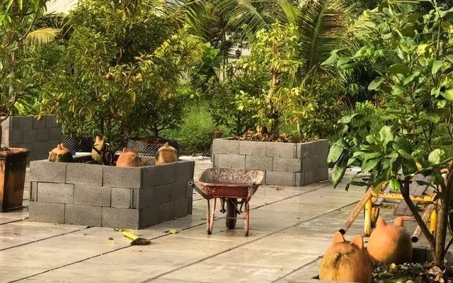 Giám đốc hãng phim Tây Nam phải nộp lại hơn một nghìn đồng thu lợi bất chính