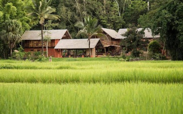 Bán chung cư 6,5 tỷ giữa Hà Nội để về miền Trung “sống chậm”, một năm sau, đôi vợ chồng trẻ nhận ra: Bình yên chưa thấy, hối hận đã tràn ngập