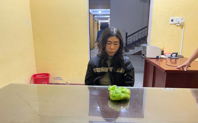 Bắt Trần Thị Minh Hà