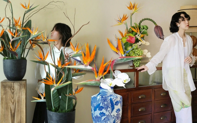 Hoa thiên điểu “đổ bộ” phòng khách ngày Tết: Nhìn là thấy giàu, cắm một lần là nghiện