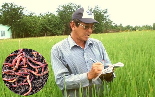 "Cha đẻ" lúa ST25 sửng sốt trước "sinh vật lạ" xuất hiện giữa ruộng, gọi đây là kỳ tích thiên nhiên