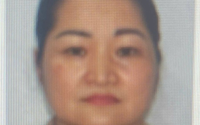 Bắt "bà trùm" Phạm Thị Bích Phượng