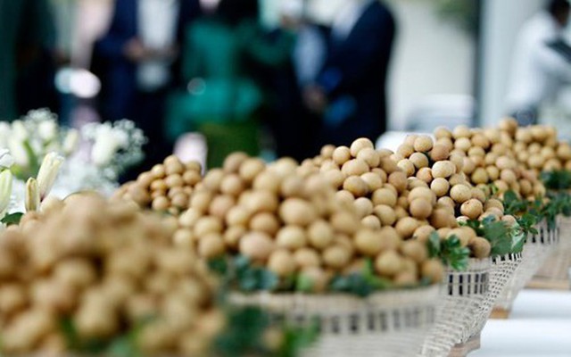 Đặc sản triệu đô của Việt Nam được Trung Quốc siêu mê, mệnh danh là 'vương giả chi quả', diện tích trồng hơn 68.000 ha