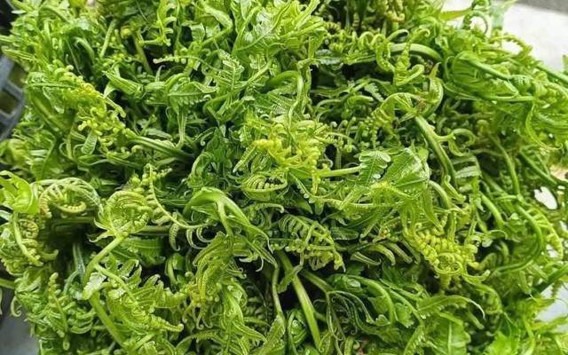 Loại rau tốt như thuốc bổ, người Trung Quốc ví là "rau trường sinh": Mọc dại đầy Việt Nam, ít người biết