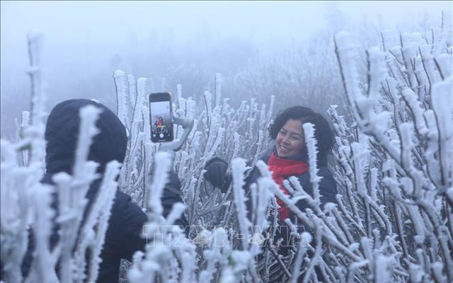 Miền Bắc đã xuất hiện băng giá sớm: Không phải ở Fansipan, đây cũng là điểm du lịch nổi tiếng Việt Nam