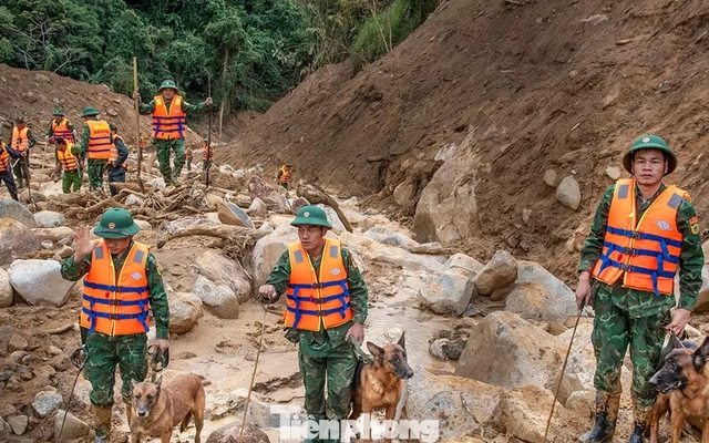 Cận cảnh những chú chó cứu hộ Làng Nủ đang tìm người mất tích ở Đà Nẵng