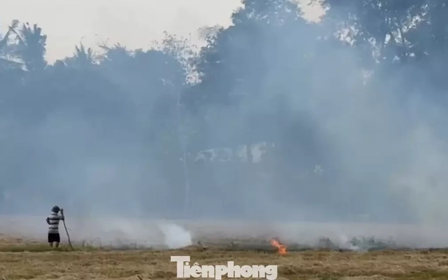 Xót xa 'kho vàng' bị đốt bỏ, vừa lãng phí lại gây ô nhiễm môi trường