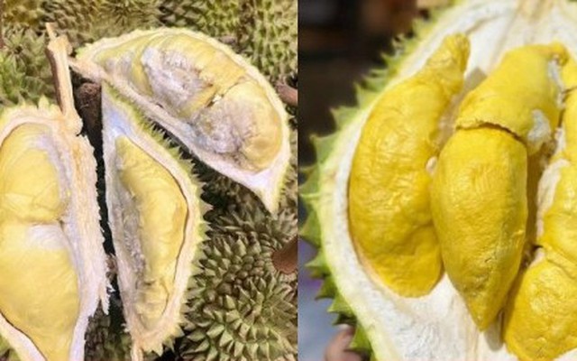 So sánh sầu Thái và sầu Ri6, loại nào ngọt và béo hơn?