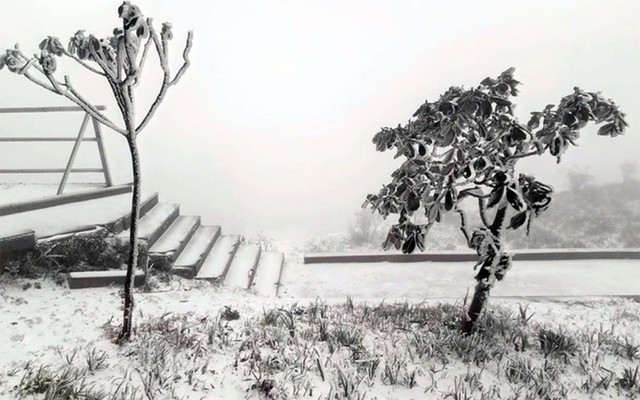 Mùa đông năm nay có thể xuất hiện tuyết và băng giá