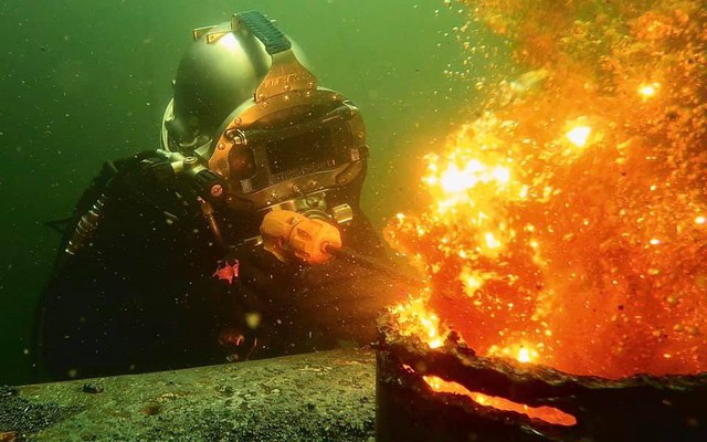 Nghề "hái ra tiền" ở dưới nước, 1 năm có thể kiếm hơn 5 tỷ