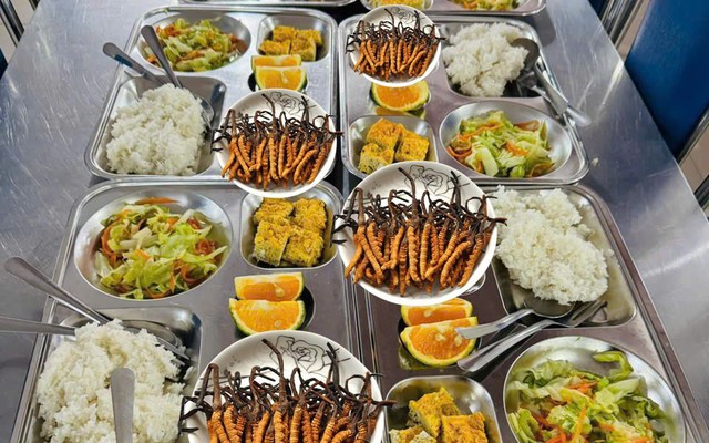 Xuất hiện bữa ăn toàn đông trùng hạ thảo xa xỉ gây sốt ở 1 trường học Hà Nội: Thực hư ra sao?