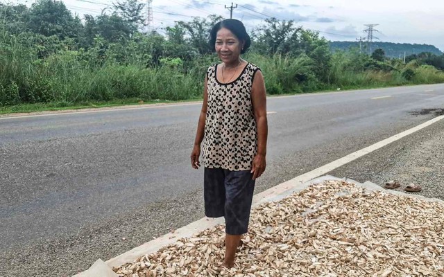 Buồn của nông dân Campuchia: Thái Lan ngừng mua hàng triệu tấn mặt hàng chủ chốt, giá rớt thảm xuống chỉ còn hơn 1.000 đồng/kg, cạnh tranh đã khó càng thêm khó