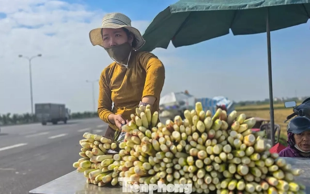 Loại củ được ví như 'lộc trời' cho mỗi năm chỉ một lần có gì đặc biệt?
