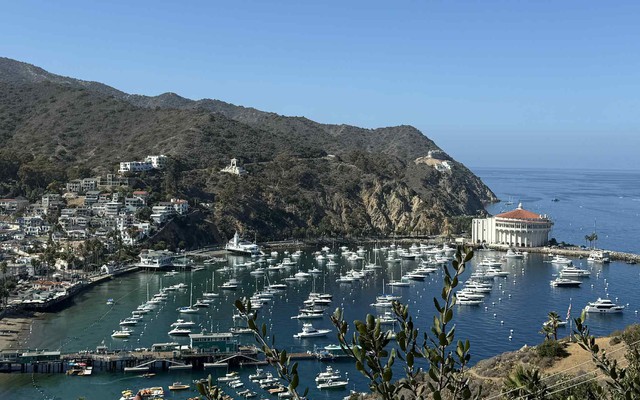 Một ngày bình yên trên đảo Santa Catalina