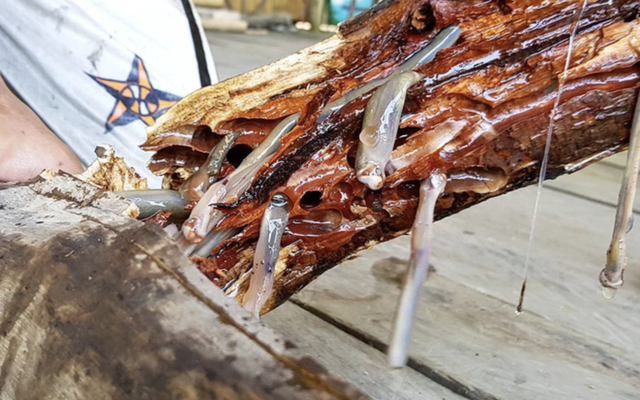 4 món đặc sản châu Á phải ăn tươi sống, Việt Nam cũng "góp mặt" một món