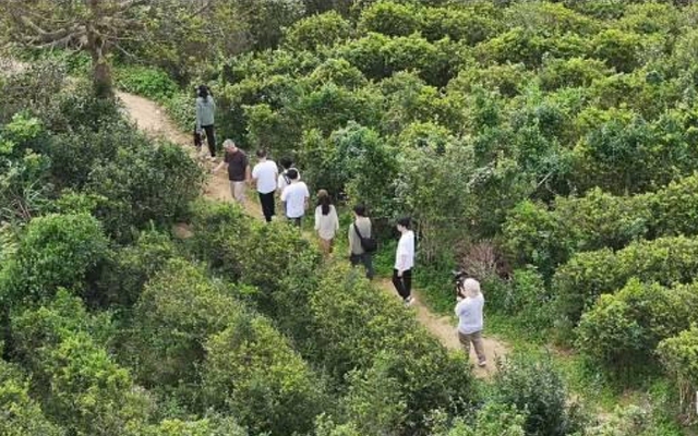 U40 về quê sống bên sông núi, tưởng được an nhàn nhưng 1 năm sau phải thốt lên: “Khác xa những gì tôi nghĩ”