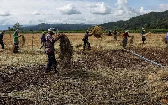 Các mỏ độc hại đe dọa sông ngòi và cộng đồng Đông Nam Á