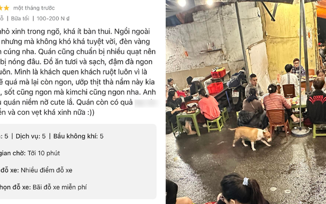 Thực hư quán nướng có Cậu Vàng trong game Phở Anh Hai được 5 sao tuyệt đối