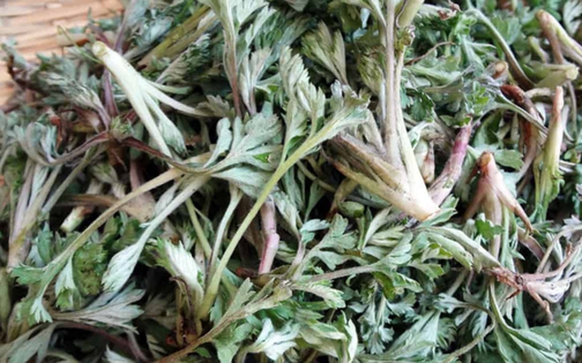 Loại rau được người Trung Quốc ví là "báu vật trời ban": Mọc đầy Việt Nam nhưng nhiều người chê không ăn