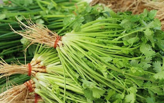 Nhiều người sai lầm khi bảo quản rau mùi trong tủ lạnh: Đầu bếp nhà hàng hướng dẫn 1 mẹo giữ rau mùi tươi lâu