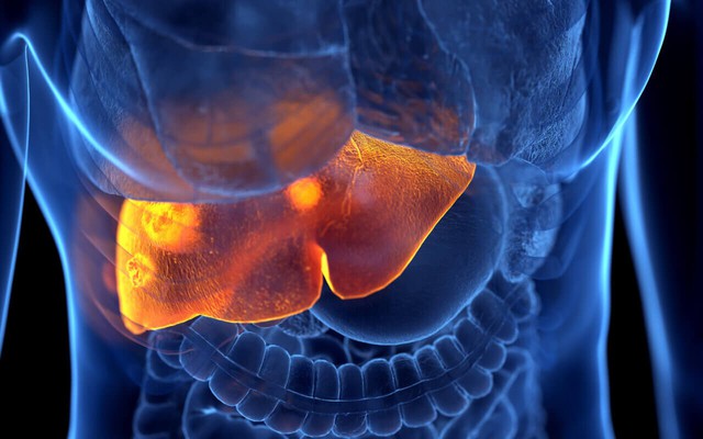 Loại gia vị phá gan chẳng kém rượu bia nếu lạm dụng: Liệu bạn có đang dùng quá nhiều?