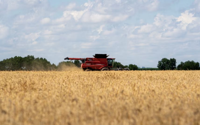 Sau 1 năm quay lưng, quốc gia BRICS nhập lại nông sản chủ chốt của Mỹ, thị trường thở phào nhẹ nhõm