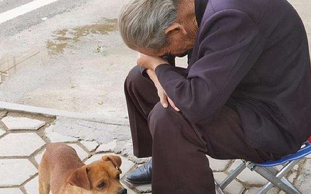 3 hình thức "bất hiếu" mới đang lan rộng, nhiều cha mẹ âm thầm chịu đựng, còn "cắn răng" ca ngợi con cái!