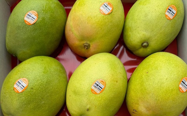 Một loại trái cây nhập khẩu từ Úc về Việt Nam giá hơn nửa triệu đồng/kg, gấp nhiều lần hàng nội