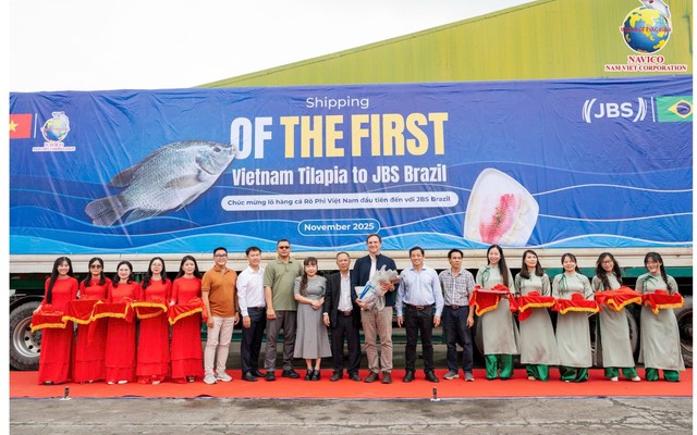 Đơn hàng 700 tấn cá rô phi Việt Nam lần đầu vào Brazil: Ai đứng sau?