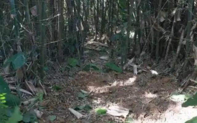 Đang đào giun thấy xẻng chạm phải vật cứng, lão nông dân run rẩy phát hiện kho báu nặng 30kg ngàn năm tuổi còn nguyên vẹn