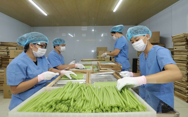 Sản phẩm của nông dân Việt giải được bài toán hóc búa, khiến người Đức 'ngạc nhiên', chuyên gia yêu thích