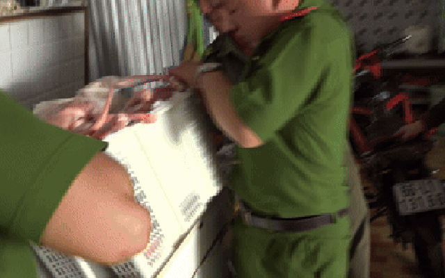 CLIP: Hình ảnh ớn lạnh bên trong kho chứa mèo ở Đồng Tháp